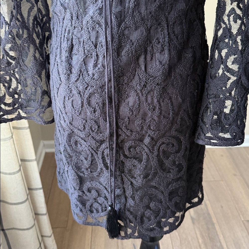 Free People Black Lace Mini Dress with Starburst Details - Picture 13 of 15